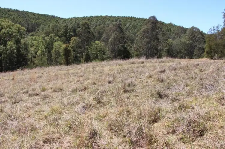Fifth view of Homely rural property listing, 477 Tipperary Rd, Gloucester NSW 2422