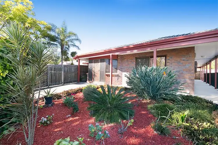 Main view of Homely house listing, 107 Mayfield Rd, Moorooka QLD 4105