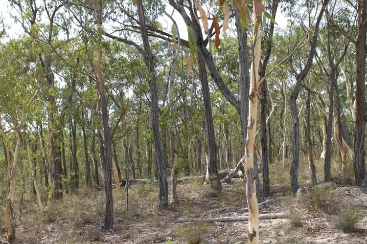 Third view of Homely land listing, 210 Mulwaree Dr, Tallong NSW 2579