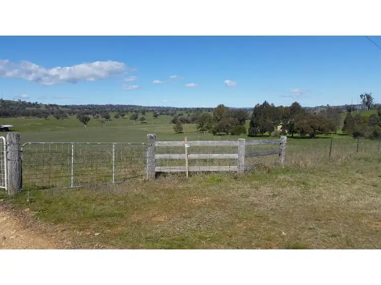 217 Tarrawingee Rd, Mumbil NSW 2820