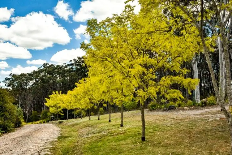 Second view of Homely house listing, 6 Casuarina Ave, Tallong NSW 2579