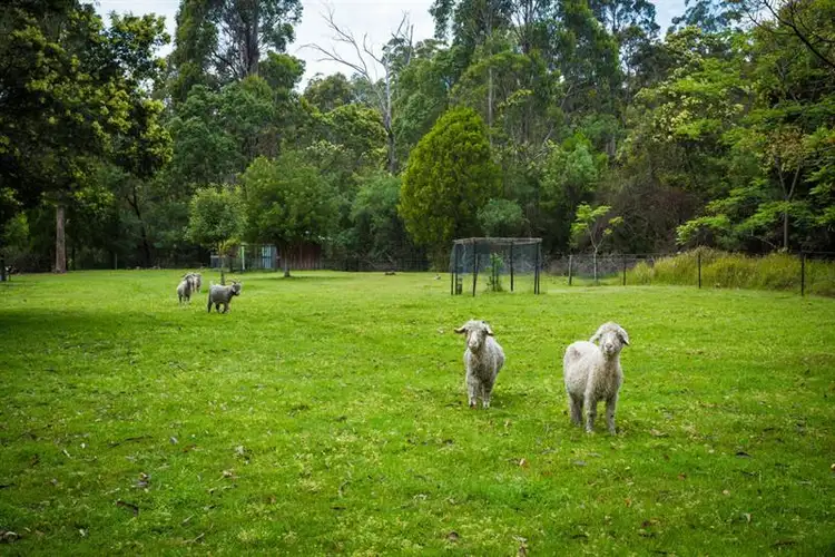 Fourth view of Homely house listing, 311 Milligandi Rd, Millingandi NSW 2549