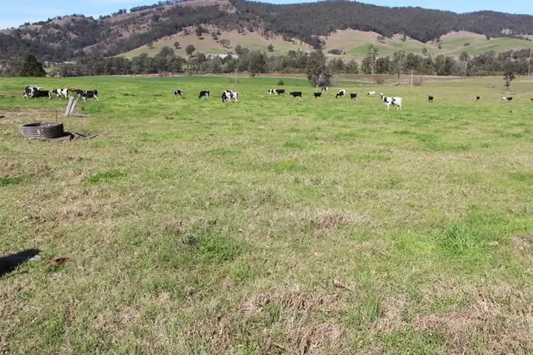 Fourth view of Homely rural property listing, 705 Barrington West Rd, Gloucester NSW 2422