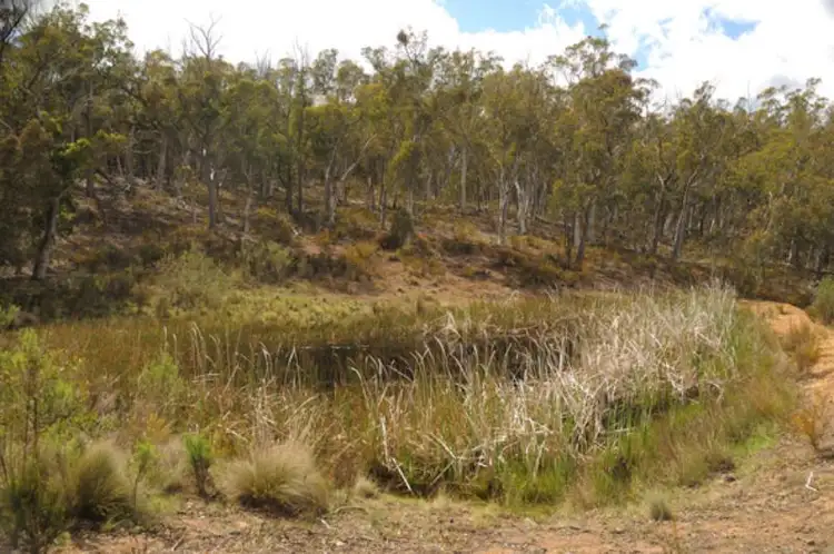 Fourth view of Homely rural property listing, 179 Masons and Owens Rd, Windellama NSW 2580