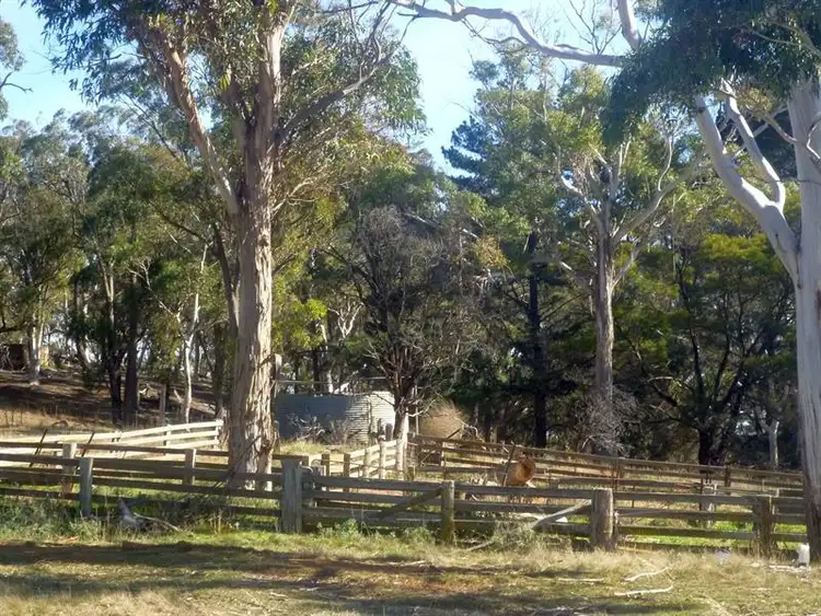 Seventh view of Homely rural property listing, 49 Coolabah Rd, Bungonia NSW 2580
