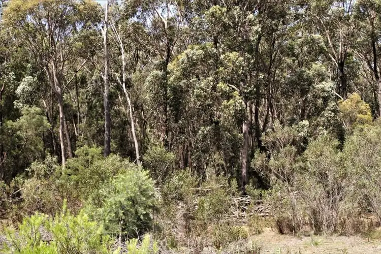 Third view of Homely rural property listing, 2501 Towrang Rd, Big Hill NSW 2579