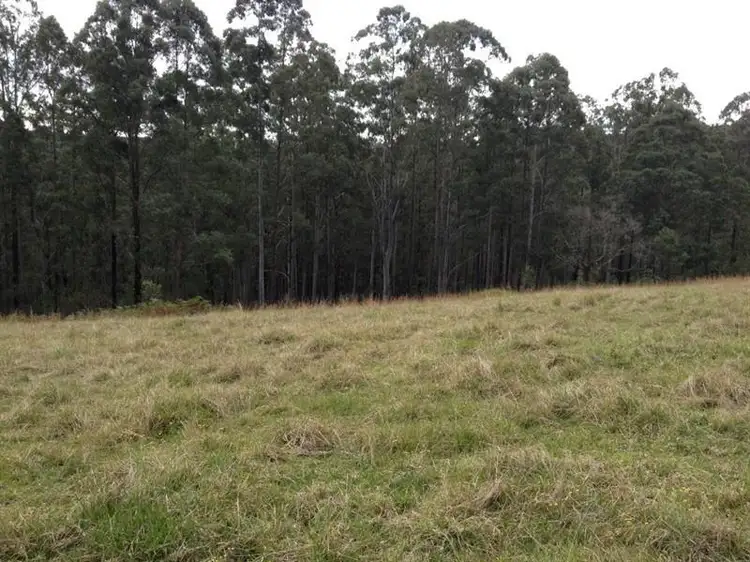 Sixth view of Homely rural property listing, 1139 Lawlers Creek Rd, Gloucester NSW 2422