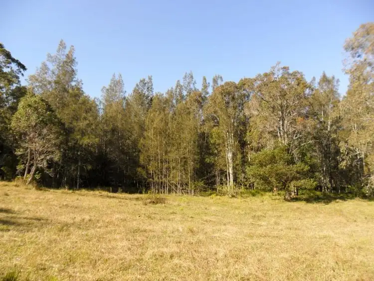 Fifth view of Homely rural property listing, 22 Hubbards Sth Rd, Bungwahl NSW 2423