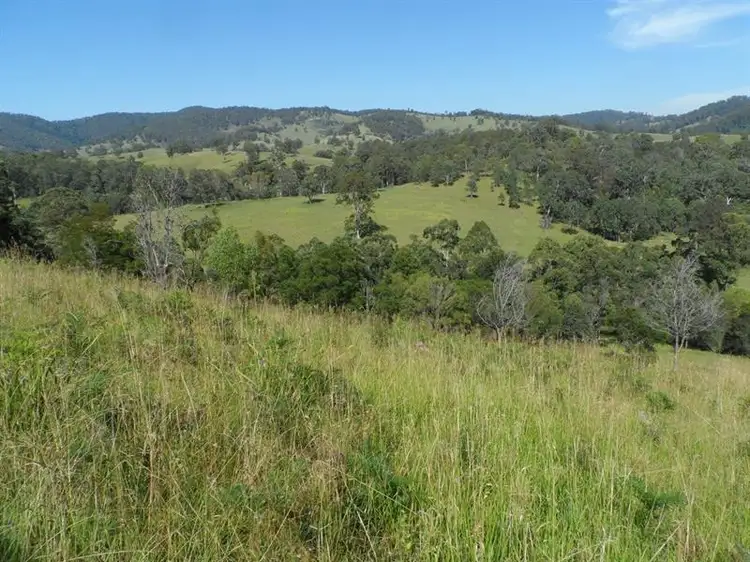 Fourth view of Homely rural property listing, 1029 Little Bunyah Rd, Bucca Wauka NSW 2429