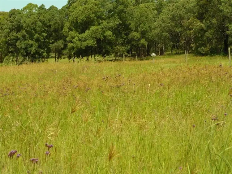 Third view of Homely land listing, 37 Mill St, Krambach NSW 2429