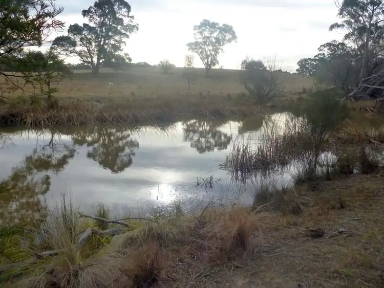 Sixth view of Homely rural property listing, 1533 Sandy Point Rd, Mayfield NSW 2580