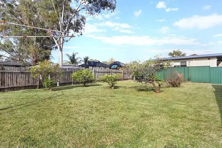 Fifth view of Homely house listing, 14 Dorothy St, Chester Hill NSW 2162