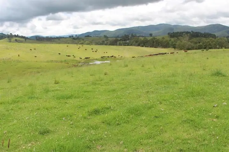 Second view of Homely rural property listing, 1213 Thunderbolts Way, Gloucester NSW 2422