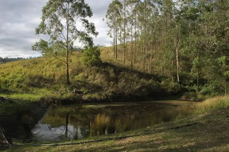 Fifth view of Homely rural property listing, 264 Blackhorse Rd, Eden Creek NSW 2474