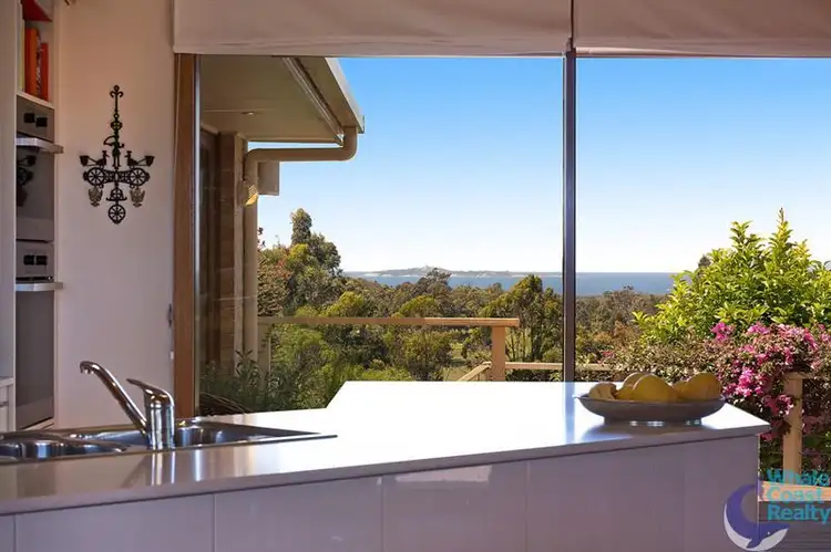 Third view of Homely rural property listing, 343 Old Hwy, Narooma NSW 2546