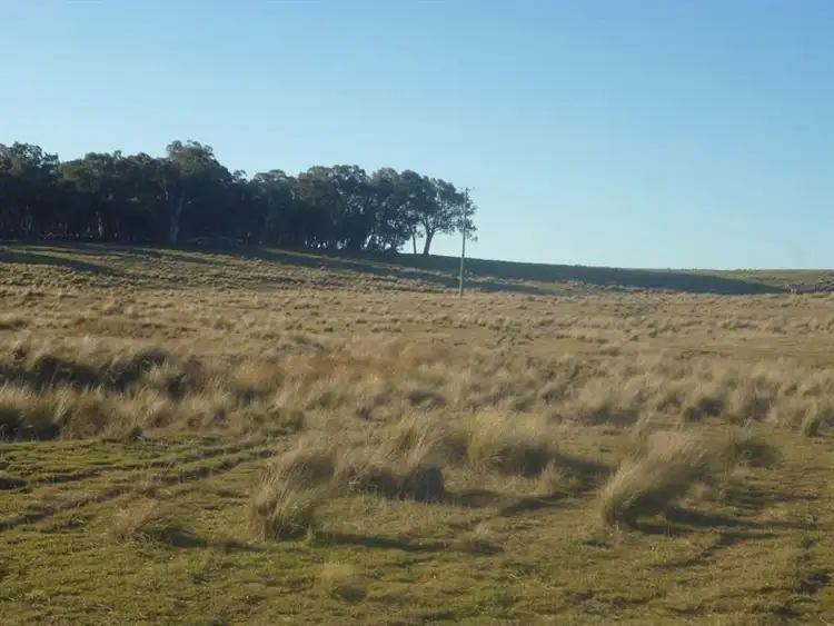 Main view of Homely rural property listing, 250 Coolabah Rd, Bungonia NSW 2580