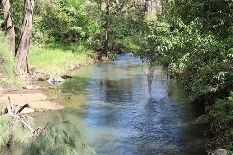 Seventh view of Homely rural property listing, Lot 3 Craven Creek Rd, Gloucester NSW 2422