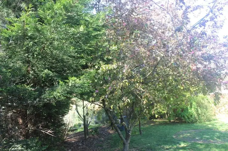 Sixth view of Homely house listing, 15 Betula Gr, Bundanoon NSW 2578