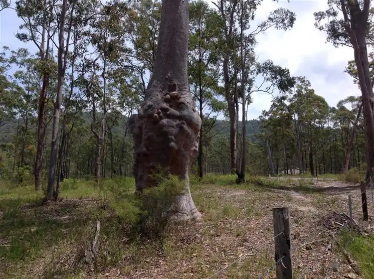 Seventh view of Homely rural property listing, Lot 87 Old Inn Rd, Bulahdelah NSW 2423