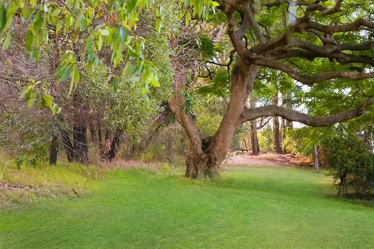 Fifth view of Homely house listing, 19 Strathfield St, Tarragindi QLD 4121