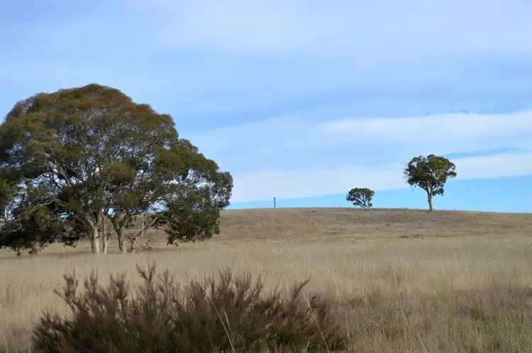 Seventh view of Homely rural property listing, 28 Hush Rd, Windellama NSW 2580