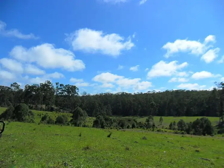 Fourth view of Homely rural property listing, 322 Hubbards Nth Rd, Wootton NSW 2423
