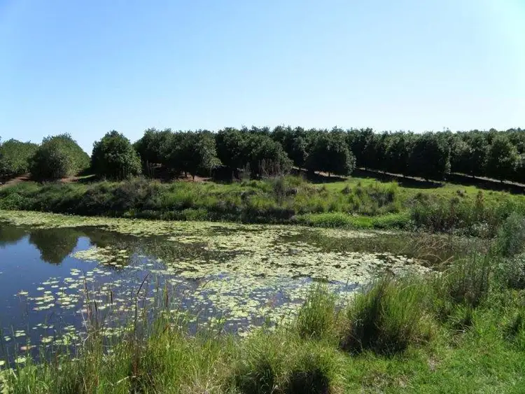 Fourth view of Homely rural property listing, 1172 Bulmers Rd, Hogarth Range NSW 2469