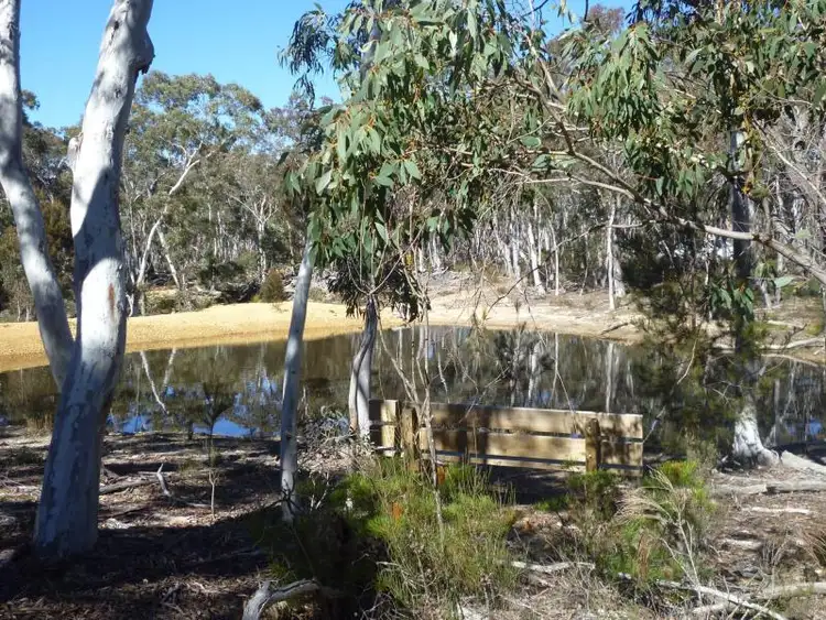 Third view of Homely rural property listing, 389 Fox's Elbow Rd, Braidwood NSW 2622