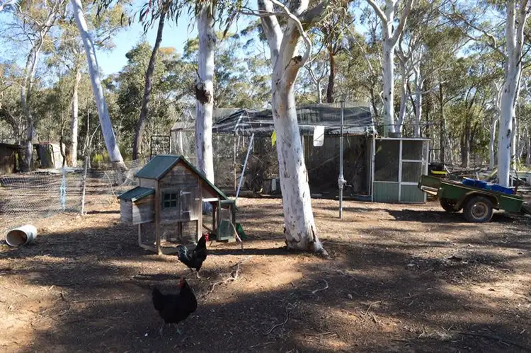 Sixth view of Homely rural property listing, 930 Sandy Point Rd, Lower Boro NSW 2580