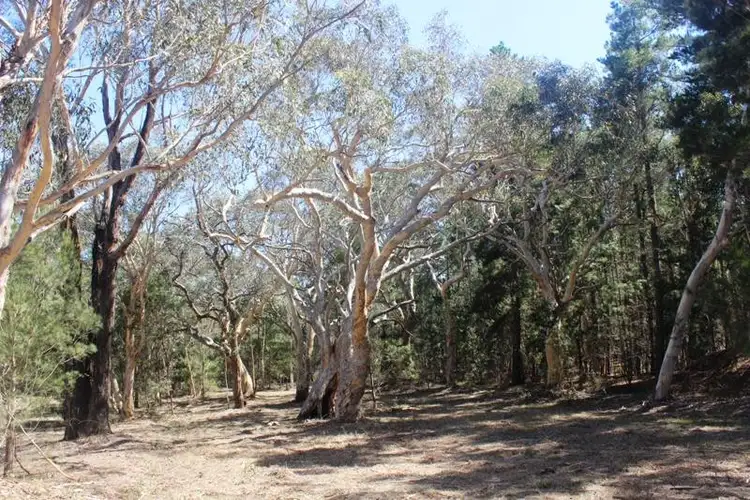 Seventh view of Homely land listing, 1-11 Caoura Road, Tallong NSW 2579