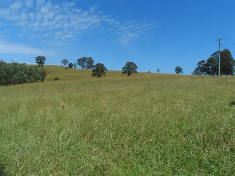 Fourth view of Homely rural property listing, 1261 Willina Rd, Bunyah NSW 2429