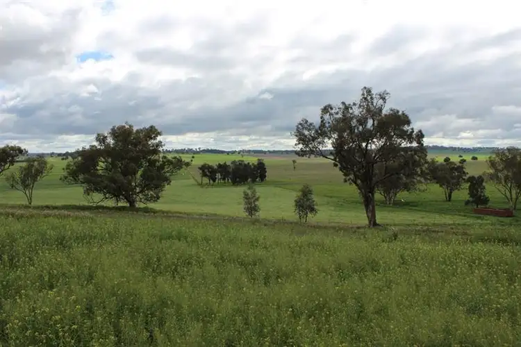 Seventh view of Homely land listing, 692 Ponto Falls Rd, Maryvale NSW 2820