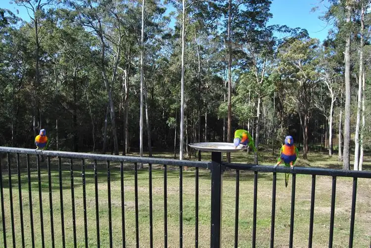 Second view of Homely rural property listing, 616 Shallow Bay Rd, Coomba Park NSW 2428