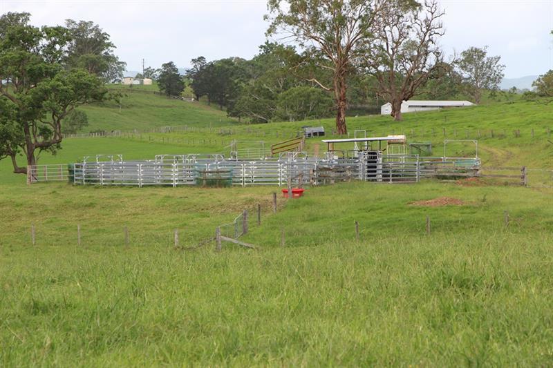 Third view of Homely rural property listing, 879 Thunderbolts Way, Gloucester NSW 2422