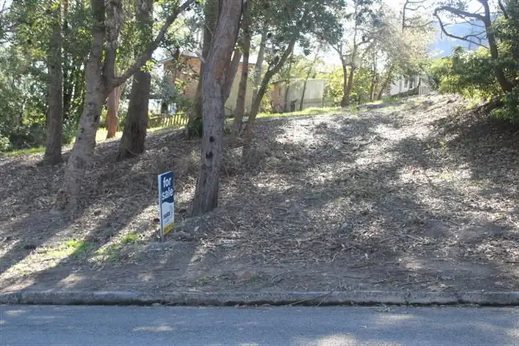 Fifth view of Homely land listing, 45 James Scott Cres, Lemon Tree Passage NSW 2319