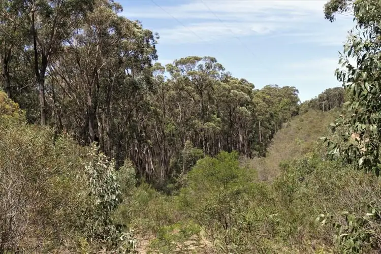 Fourth view of Homely rural property listing, 2501 Towrang Rd, Big Hill NSW 2579