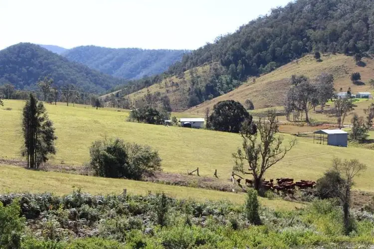 Seventh view of Homely rural property listing, 291 Curricabark Rd, Gloucester NSW 2422
