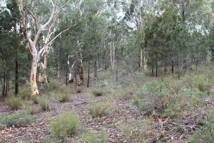 Third view of Homely land listing, 398 Mulwaree Dr, Tallong NSW 2579