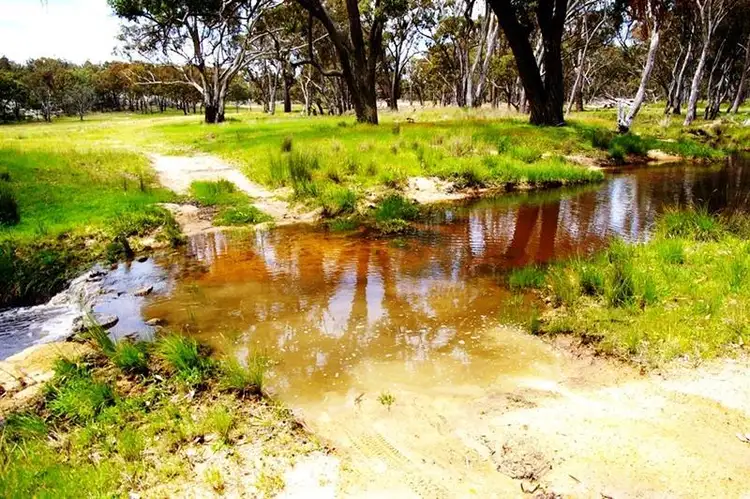 Second view of Homely rural property listing, 1015 Barraba Rd, Bundarra NSW 2359