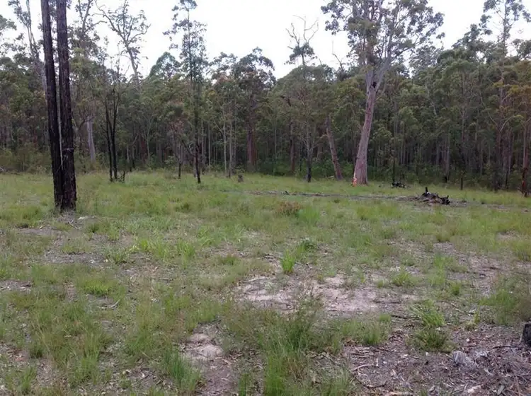 Sixth view of Homely rural property listing, Lot 87 Old Inn Rd, Bulahdelah NSW 2423