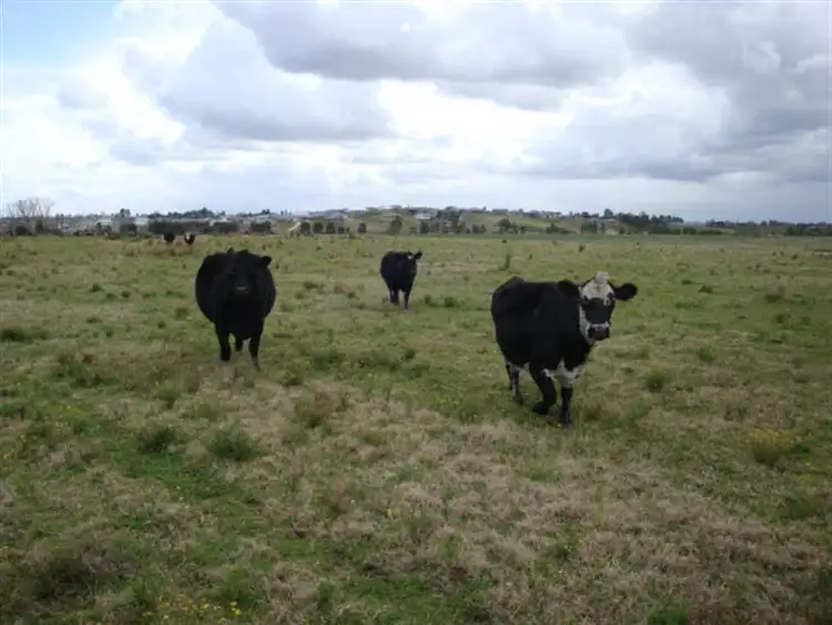 Fourth view of Homely rural property listing, 157 Dagworth Rd, Louth Park NSW 2320