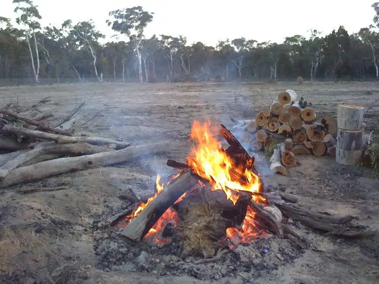 Sixth view of Homely rural property listing, 389 Fox's Elbow Rd, Braidwood NSW 2622