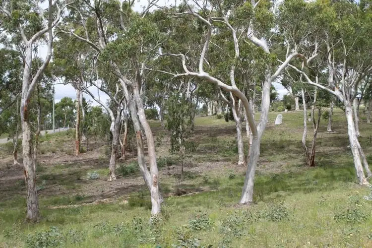 Third view of Homely studio listing, 8 Wistringia Cl, Tallong NSW 2579