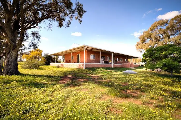 Second view of Homely rural property listing, 1118 Narromine-Eumungerie Rd, Dubbo NSW 2830