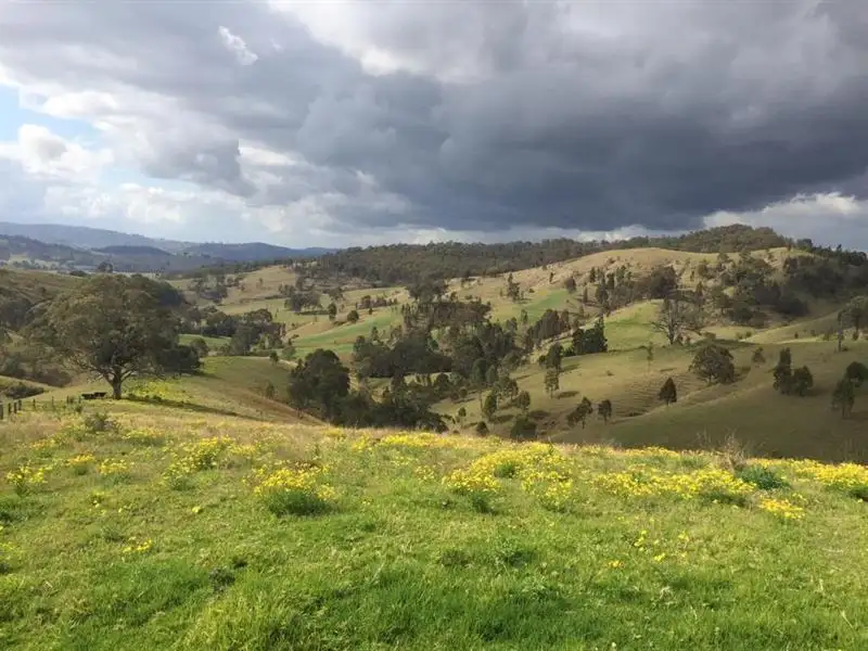 Main view of Homely rural property listing, 52 Gabulah Rd, Gresford NSW 2311