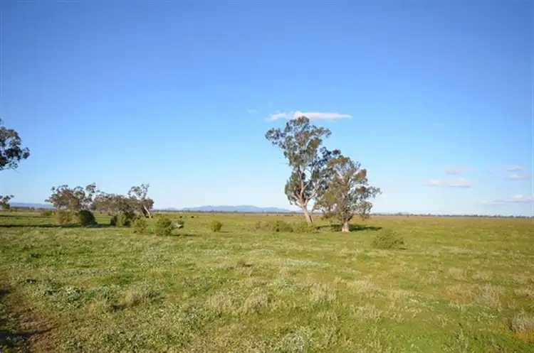 4560 Grain Valley Rd, Boggabri NSW 2382