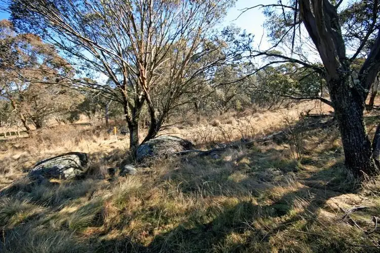 Seventh view of Homely rural property listing, 11 Marsh Lane, Jindabyne NSW 2627