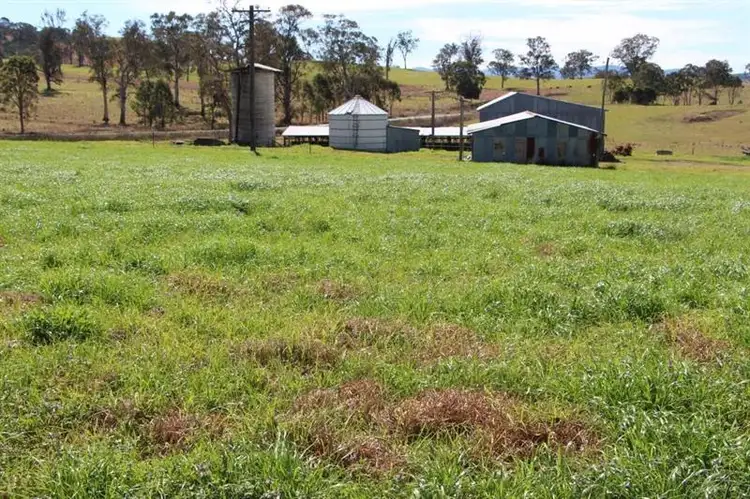 Fifth view of Homely rural property listing, 705 Barrington West Rd, Gloucester NSW 2422