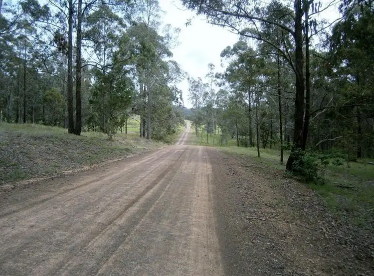 Main view of Homely rural property listing, 193 Wyses Rd, Bunyah NSW 2429
