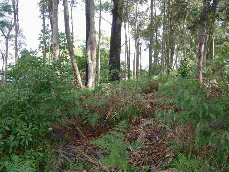 Fifth view of Homely land listing, 3 James Scott Cres, Lemon Tree Passage NSW 2319